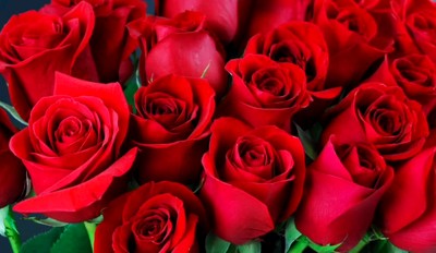 Bangla choto golpo beautiful mature saree chachi cheating hasband full story in Bangla audio choto g