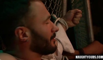 Big Dick Gay Anal Sex And Cumshot